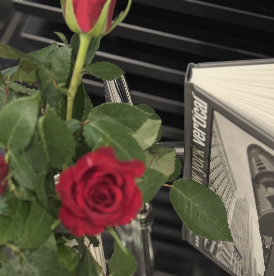 Rote Rose und aufgeschlagener Bildband auf dem Tisch im Salon